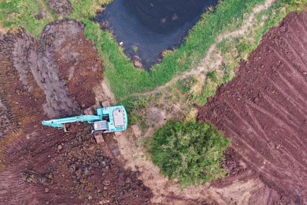 Wetland and Habitat Restoration